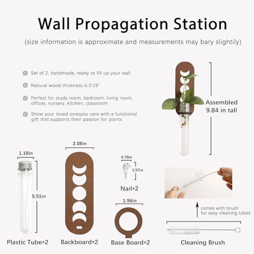 Artilady Plant Propagation Station Wall Hanging, Moon Phase Plant Terrarium - color: Moon Phase Wood