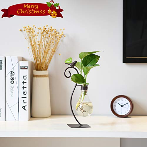 Marbrasse Desktop Glass Planter Hydroponics Vase,Planter Bulb Vase with Holder for Home Decoration,Modern Creative Bird Plant Terrarium Stand, Scindapsus Container (Bulb Vase) - color: Jk153