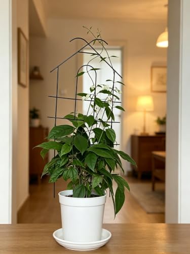26" Trellis for Potted Plants Indoor, Sturdy Plant Support, 2 PCS