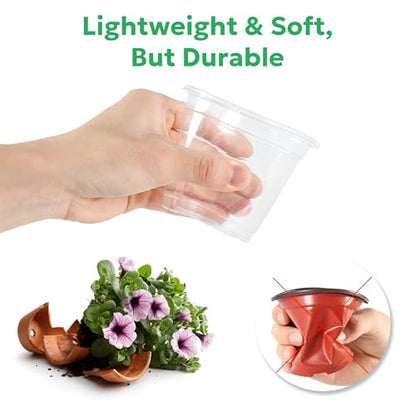 Bluepro Clear Nursery Pots with Drainage Holes, 5 Inch, 30-Pack - size: 5 Inch-30Pcs