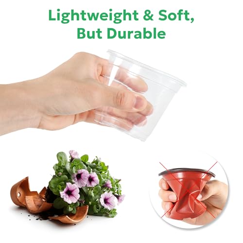 Bluepro Clear Nursery Pots with Drainage Holes, 5 Inch, 30-Pack - size: 5 Inch-30Pcs