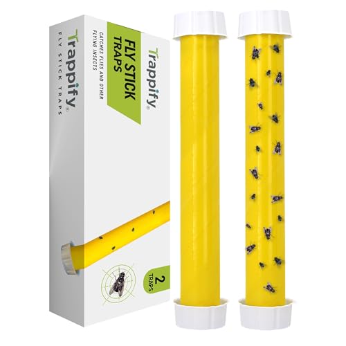 Trappify Hanging Fly Trap & Fruit Fly Traps for Indoors, Yellow, 2 Pack - size: Pack 2