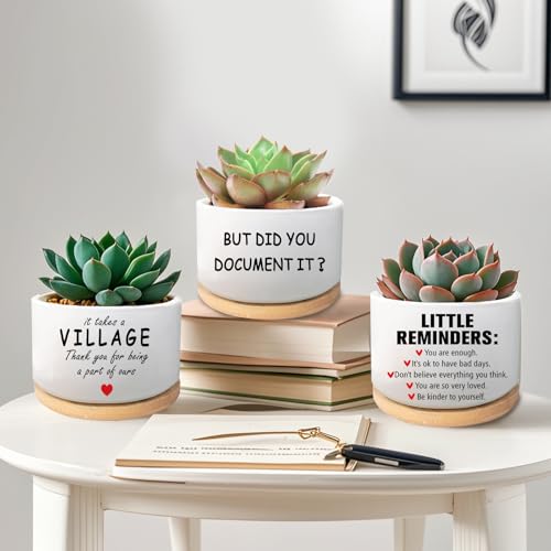 Office Desk Shelf Decor, Ceramic Succulent Plant Pot (Plants Not Included) - style: But did you document it
