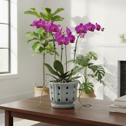 Ceramic Orchid Pot with Attached Saucer and Drainage Hole 6'' Gray - color: Gray