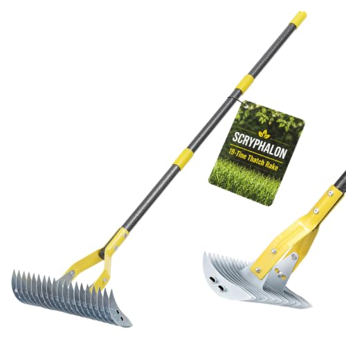 Thatch Rakes , 15-Inch Wide Thatching Rake for Cleaning Dead Grass, 55-Inch Efficient Steel Dethatcher Rake with Adjustable Metal Handle, Thatch Rakes for Lawns, Garden, Yard - color: Black, size: 55''