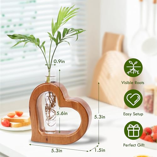 Glass Test Tube Plant Propagation Station Wooden Terrarium Holder - size: 5.3*5.3IN