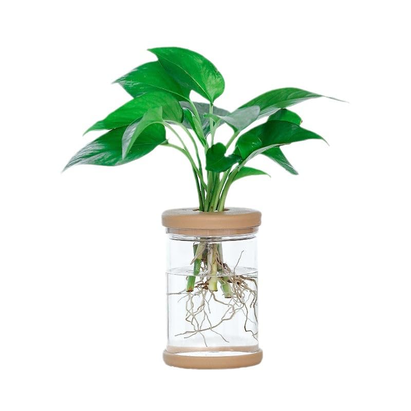1pc, Hydroponics Plants Desktop Glass Planter Vase for Home Decoration, Plant Propagation Station Bud Vase, Desktop Hydroponics