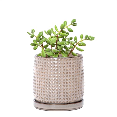 D'vine Dev Beaded Ceramic Pot with Saucer, 4 in, Light Brown, 27-C-Z-4 - color: Light Brown, size: 4.3 Inch