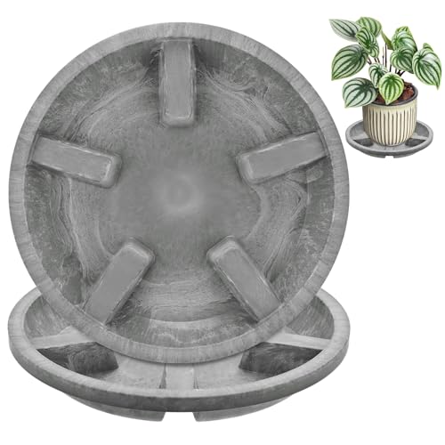 M METERXITY 2-Pack Plant Saucers, 8 Inch OD Anti-Rot Root Resin Flower Pot Plant Saucers for Indoor/Outdoor, Flowerpot Drip Tray [6.3 Inch ID, Gray] - color: Gray, size: 8 Inch OD