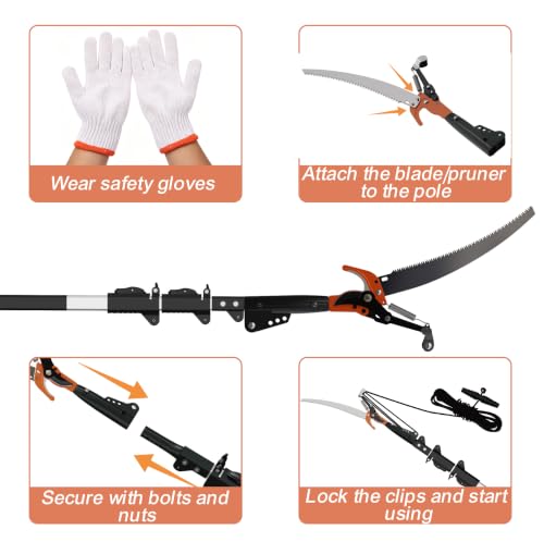 20FT Reach Manual Pole Saw, 2-in-1 Pole Pruner for Tree Trimming, 4-Section 5-12FT Retractable Square Pole, Labor-Saving Pulley & Hardened Steel Blade for Fruit, Palm, High Orchard Branches