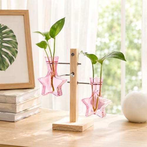 Nacome Plant Terrarium Propagation Stations: Pink Vase with Wooden Stand - color: Pink