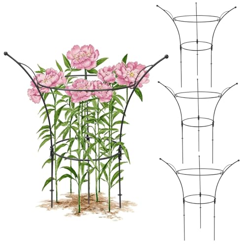 4 Pack Peony Cages and Supports Cages 13" D x 22.8" H Heavy Duty Metal Support Frame for Peonies & Roses Natural Bouquet Shape Garden Stakes for Outdoor Plants Flowers Ornamental (Black) - color: Black, size: 4 Pack