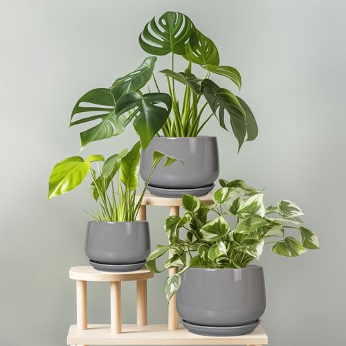 G EPGardening Ceramic Pot for Plants, 6 Inch, Gray - color: Gray, size: 5 Inch