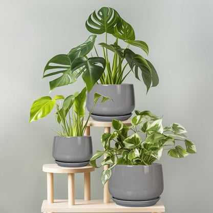 G EPGardening Ceramic Pot for Plants, 6 Inch, Gray - color: Gray, size: 5 Inch