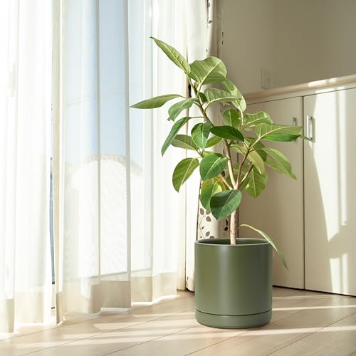 D'vine Dev 10 Inch Ceramic Planter Pot, Olive, 94-O-E-J - color: Olive, size: Large