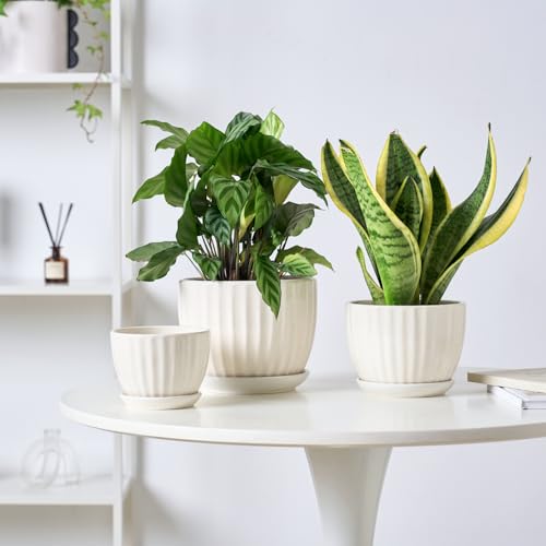 STHIE 4/5/6 Inches White Ceramic Plant Pots with Drainage Holes and Saucer - color: White-big Size