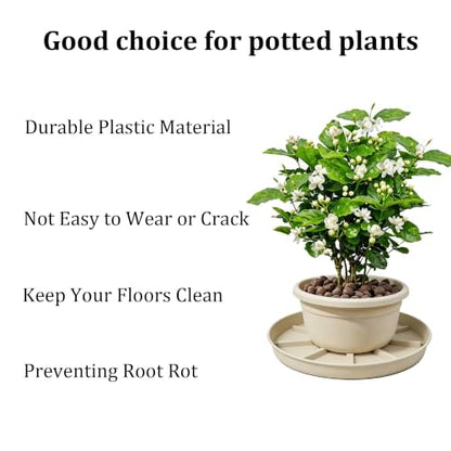 2Pcs 6 Inch Plant Saucer Drip Tray, Clear Plastic Flower Pot Saucers, Thicker Anti-Rot Root Water Catcher Tray for Indoor Outdoor Planters, Heavy Sturdy Pot Base Plate Beige - color: Beige