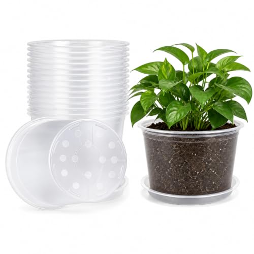 MIXC Clear Nursery Pots with Drainage Holes and Saucers, 12Inch, 12Pack - size: 12 Inch-12 Pack