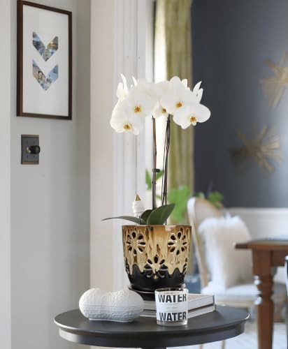 6 inch Orchid Pots with Holes Brown Black Ceramic Orchid Pot for Repotting - color: Brown&black
