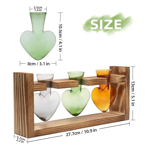 Plant Terrarium Propagation Stations Hydroponics - color: Color 4