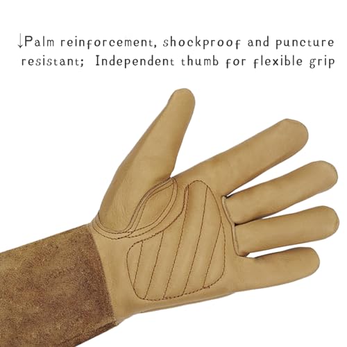 [Clearance promotion] Long Gardening Gloves for Women/Men-Thorn Proof Rose Pruning Gloves, Leather work Gauntlet - size: X-Large