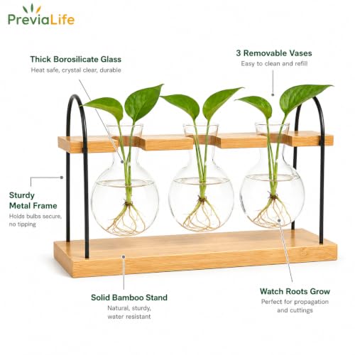 Plant Propagation Station with Bamboo Stand 3 Bulb Glass Vase Plant Terrarium, Hydroponic Planter for Desk & Office Decor, Gardening Gifts for Women Plant Lovers, Care Guide Included