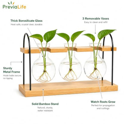 Plant Propagation Station with Bamboo Stand 3 Bulb Glass Vase Plant Terrarium, Hydroponic Planter for Desk & Office Decor, Gardening Gifts for Women Plant Lovers, Care Guide Included