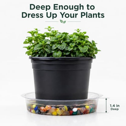 Gardzen Heavy Duty Clear Plastic Plant Saucers, Flower Pot Tray - Excellent for Indoor & Outdoor Plants (6-Inch, 10-Pack) - size: 6 Inch