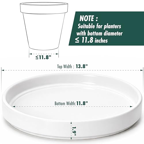 D'vine Dev Ceramic Plant Saucer/Drainage Tray, 11.8 in, White, 97-T-A-6 - color: White, size: 11.8" (1 Pack)