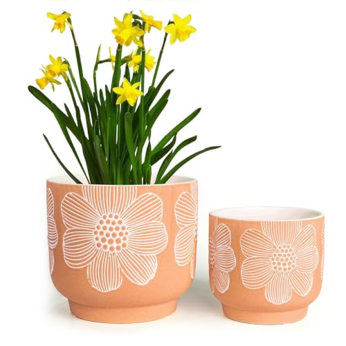 Ceramic Plant Pots, 8+6 Inch, 2 Pcs Indoor Planters with Drainage Holes - color: Modern Orange Floral, size: 8+6 Inch