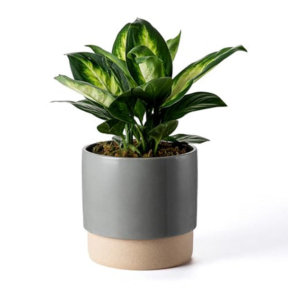 8 Inch Ceramic Self Watering Planter with Drainage Hole, Dark Grey - color: Darkgrey, size: Medium