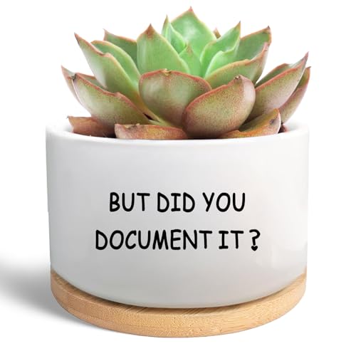 Office Desk Shelf Decor, Ceramic Succulent Plant Pot (Plants Not Included) - style: But did you document it