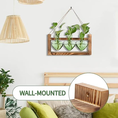 Plant Terrarium Propagation Stations Hydroponics - color: Green