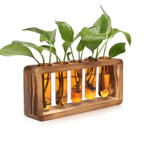 Glass Plant Propagation Station with 5 Test Tubes Colorful Planter Vase - color: Amber