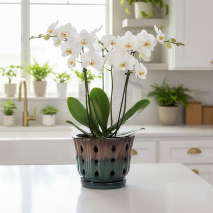 Ceramic Orchid Pot 6'' Orchid Planter (Brown Over Turquoise) - color: Brown Over Turquoise