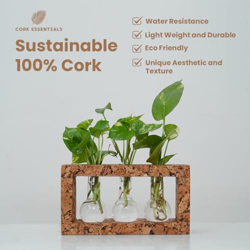 Natural Three-Beaker Cork Propagation Station