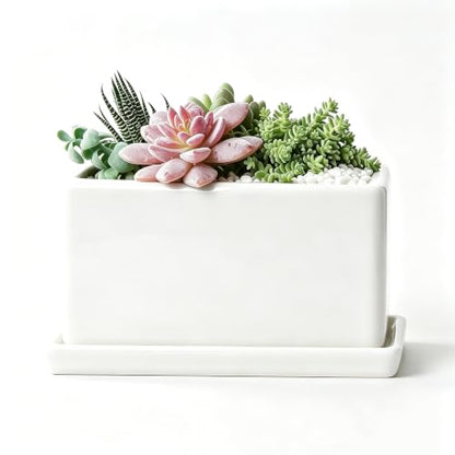 8 Inch Rectangular Ceramic Plant Pot, Window Box, Glazed White - color: White, size: 8 Inch