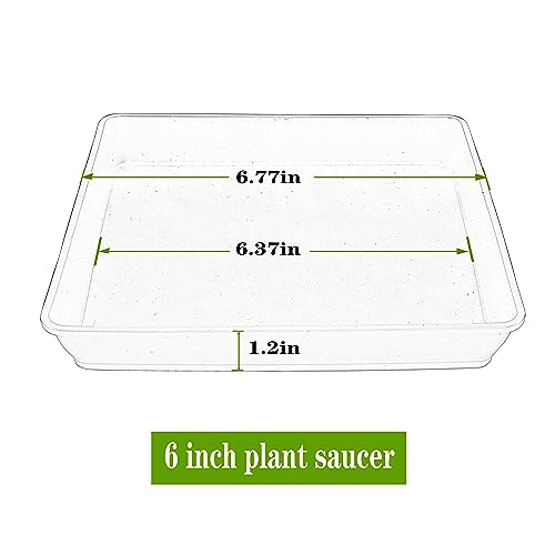 LWALRS 5 Pack Square Plant Saucer, Plastic Plant Water Dray Tray 6 Inch, Planters for for Pots Base Indoors and Outdoors Plants，Heavy Plant Trays for Pots (6 inch, White) - color: White, size: 6" (5 pack)