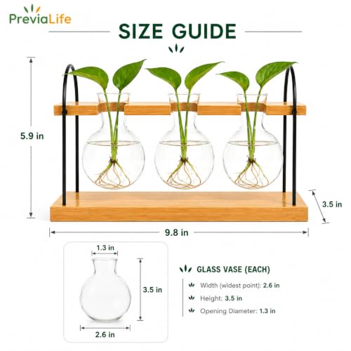 Plant Propagation Station with Bamboo Stand 3 Bulb Glass Vase Plant Terrarium, Hydroponic Planter for Desk & Office Decor, Gardening Gifts for Women Plant Lovers, Care Guide Included