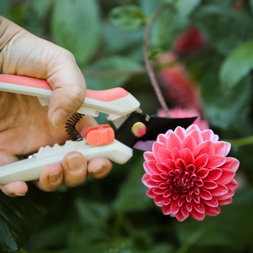 Fiskars Floral Pruning Shears, Plant Cutting Scissors for Flowers - color: Spring Bloom Light Pink