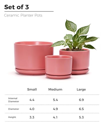 Ceramic Plant Pots,Planters with Drainage Hole&Saucer 3 Pack(Matte Orange) - color: Matte Orange
