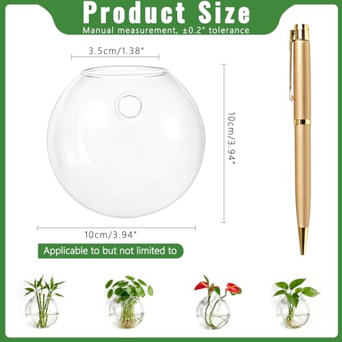 NUPTIO Glass Wall Hanging Planters: Propagation Station for Plants, 4 Pcs - size: 4 Pcs