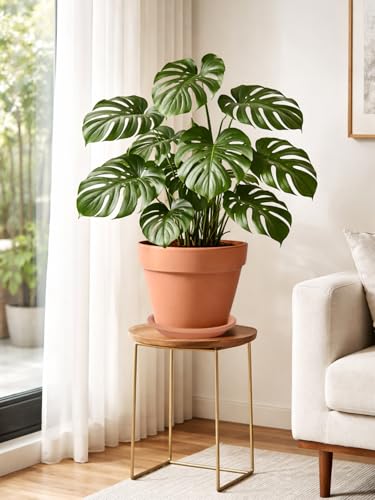 INGOFIN Terracotta Pot with Saucer - 10 Inch Ceramic Clay Pot for Plants with Drainage Hole, Large Terra Cotta Flower Planter with Tray for Indoor Outdoor Plants - size: 10 inch