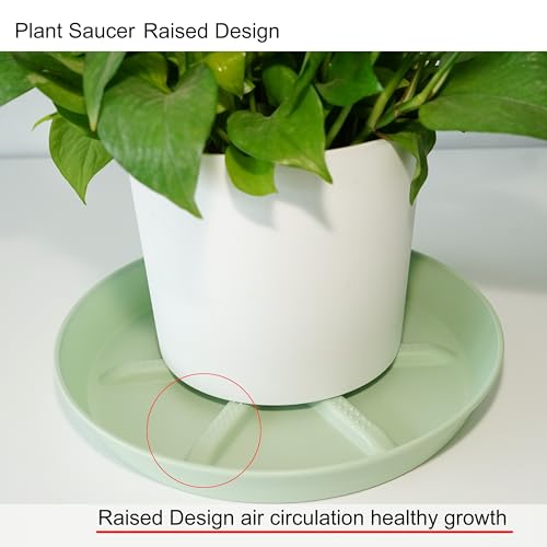 NIMYAU Plant Saucer 12 inch 2 Pack Deep Drainage Plant Saucers – Raised Middle Platform, Heavy Duty Thick Plastic Round Drip Tray - color: Green, size: 12" (2-Pack)