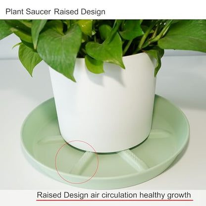 NIMYAU Plant Saucer 12 inch 2 Pack Deep Drainage Plant Saucers – Raised Middle Platform, Heavy Duty Thick Plastic Round Drip Tray - color: Green, size: 12" (2-Pack)