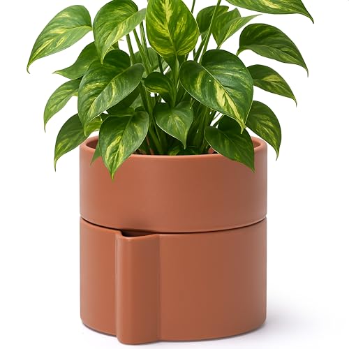 Phoenix Vine 6.5 Inch Self-Watering Planter Pot with Terracotta Insert, Deep Water Reservoir, and Ceramic-Alike BPA-Free Plastic Pot for Plant, Modern Planter for Houseplants, Terracotta, 53-A-S-3 - color: Terracotta, size: 6.5 Inch
