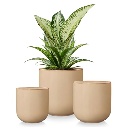 vancasso Ceramic Plant Pots, 4+5+6 inches, Set of 3, Planters with Drainage Hole, Flower Pots Planters Pots for Indoor Plants, Modern Indoor Decorative Garden Pot, Home Decor, Brown - color: Brown, size: 4+5+6 Inch