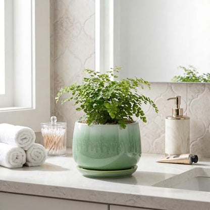 6 Inch Planter, Ceramic Plant Pots for Indoor Plants, Green - size: 6 Inch, style: Green