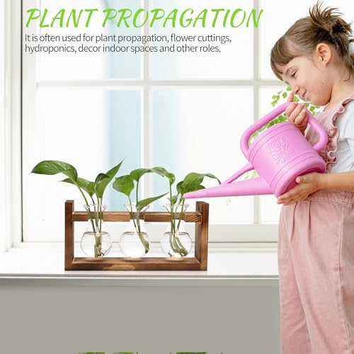 Plant Propagation Station Plant Terrarium Unique Birthday Gifts for Women - color: Transparent