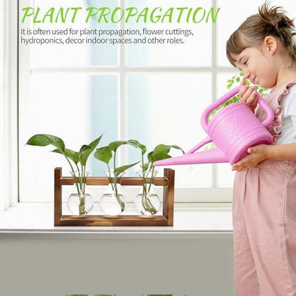 Plant Propagation Station Plant Terrarium Unique Birthday Gifts for Women - color: Transparent